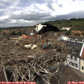 12_55-nest.jpg