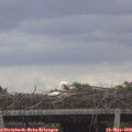 13_00-mast.jpg
