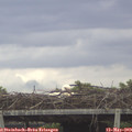 13_05-mast.jpg