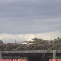 13_10-mast.jpg
