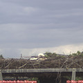 13_15-mast.jpg