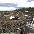 13_15-nest.jpg