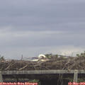 13_20-mast.jpg