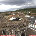 13_20-nest.jpg