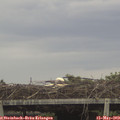 13_25-mast.jpg