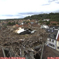 13_25-nest.jpg