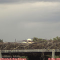 13_30-mast.jpg