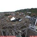 13_55-nest.jpg