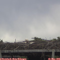 14_15-mast.jpg
