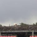 14_20-mast.jpg