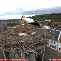 14_30-nest.jpg