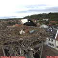 14_40-nest.jpg