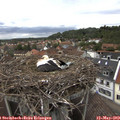 14_55-nest.jpg