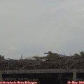 15_05-mast.jpg