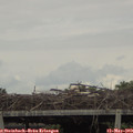 15_25-mast.jpg