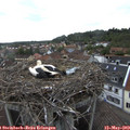 15_25-nest.jpg