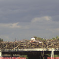 16_00-mast.jpg