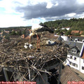 16_40-nest.jpg