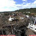 17_05-nest.jpg