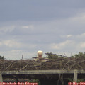 17_20-mast.jpg