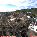 17_40-nest.jpg