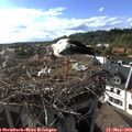 17_50-nest.jpg