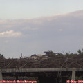 18_15-mast.jpg