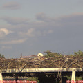 18_20-mast.jpg