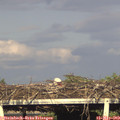 18_30-mast.jpg