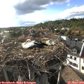 18_30-nest.jpg