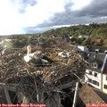 18_55-nest.jpg
