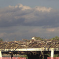 19_15-mast.jpg