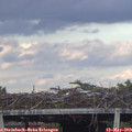 19_30-mast.jpg