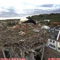 19_40-nest.jpg