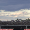 19_45-mast.jpg