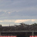 20_00-mast.jpg