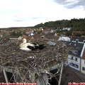 20_00-nest.jpg
