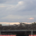 20_20-mast.jpg