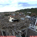 20_20-nest.jpg