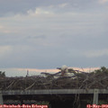 20_25-mast.jpg