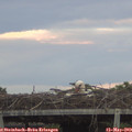 20_30-mast.jpg