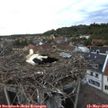 20_30-nest.jpg