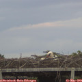 20_35-mast.jpg