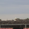 05_45-mast.jpg