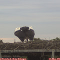06_00-mast.jpg