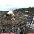 06_00-nest.jpg