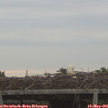 06_05-mast.jpg