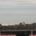 06_10-mast.jpg