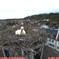 06_10-nest.jpg