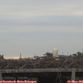 06_15-mast.jpg